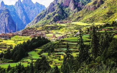 ����������