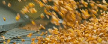 2024������ӛͬ������һ�����(qi��ng)�r(n��ng)����