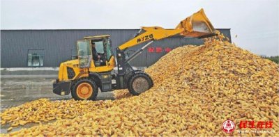 ���Փ��棡ɽ�|��Z�ի@���^��