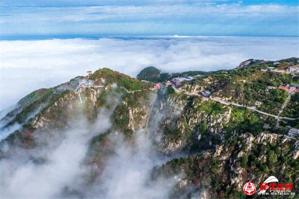 �����A̩ɽ����̩�񰲡����}�zӰ�cý�w